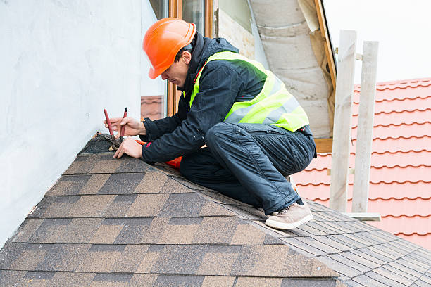 Best Roof Gutter Cleaning  in Dayton, TX